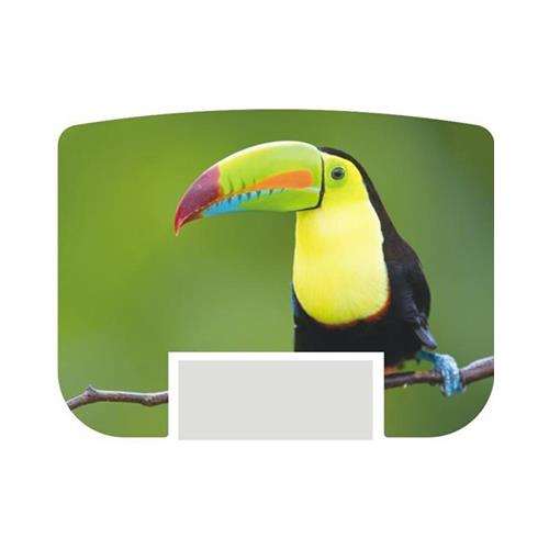 Capa Avulsa Shiny com Ilustração Tucano para Carimbo S853